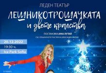 leshnikotroshachkata-alexandra-feygin