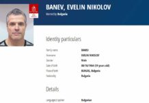 evelin-banev-brendo